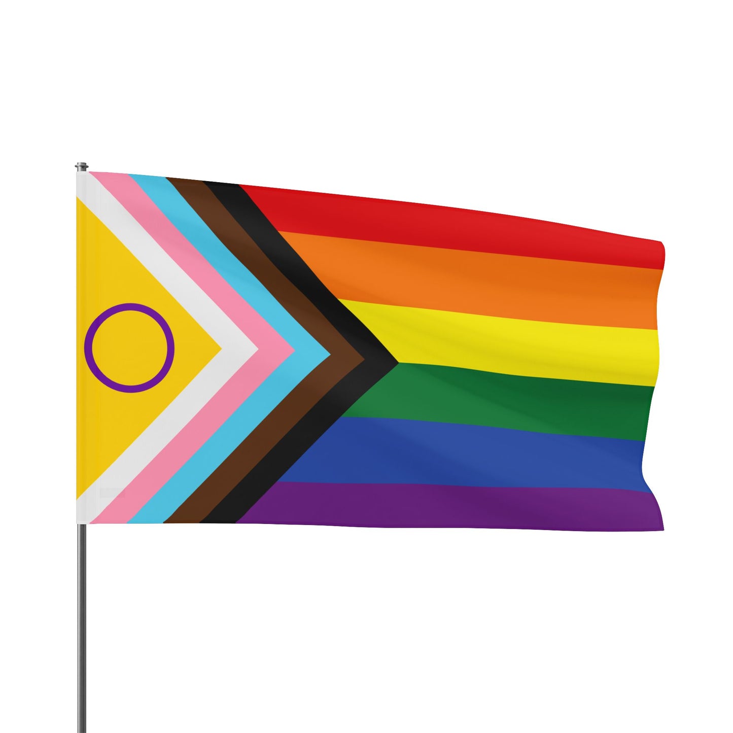 Progress Pride Flag - Inclusive LGBTQ+ Beach & Parade Flag