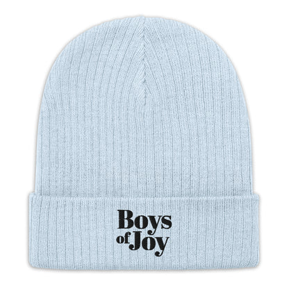 Light blue ribbed knit beanie with cuff and black ‘Boys of Joy’ embroidery, front view on white.